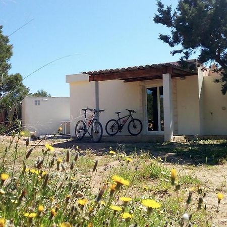 La Casita Yolanda, Ideal Parejas - Formentera Natural Сан-Ферран-де-сес-Рокес Екстер'єр фото